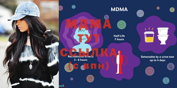 шишки Аркадак