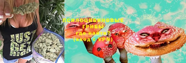 шишки Аркадак