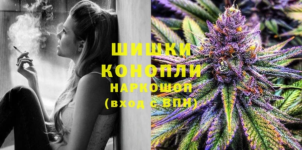 шишки Аркадак