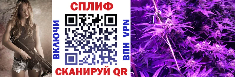 Шишки марихуана гибрид  Купить закладки  Суоярви 
